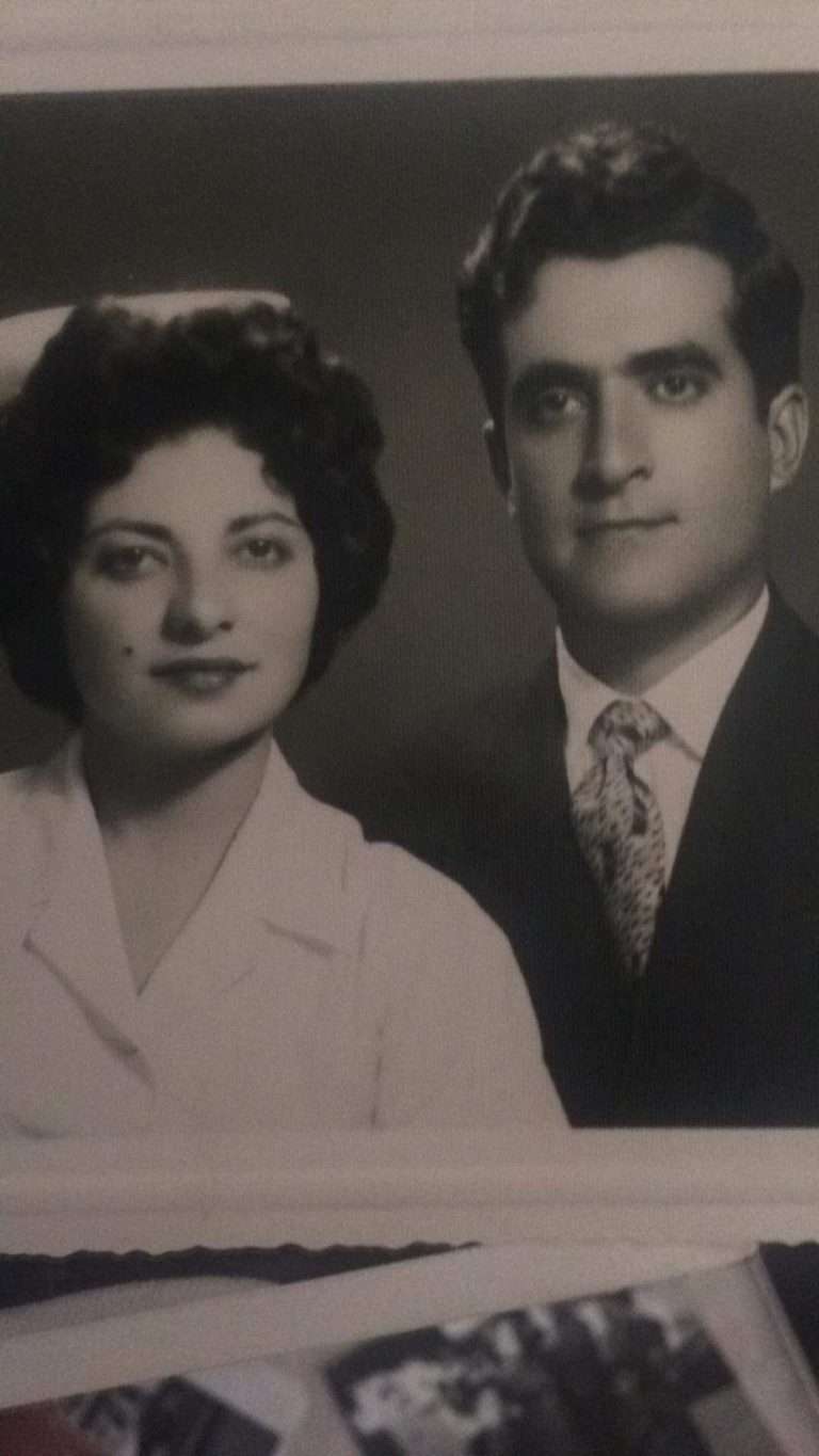 “Meet My Parents” Ali and Pari Razavi